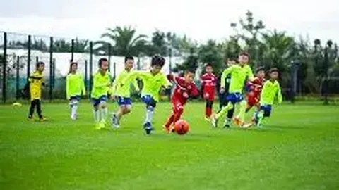 蒂亚戈引领布伦特福德前锋狂飙，领跑英超11月最佳球员榜单！