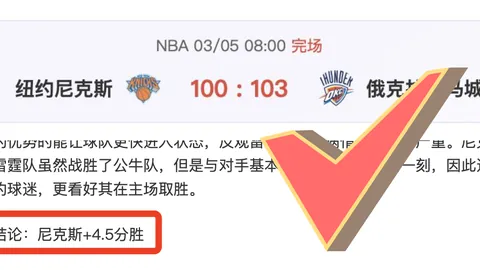 石家庄英励WCBA常规赛不敌山西竹叶青队