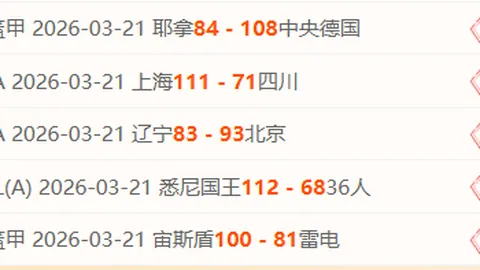 超级马里奥银河2 耀西桶倒卖事件